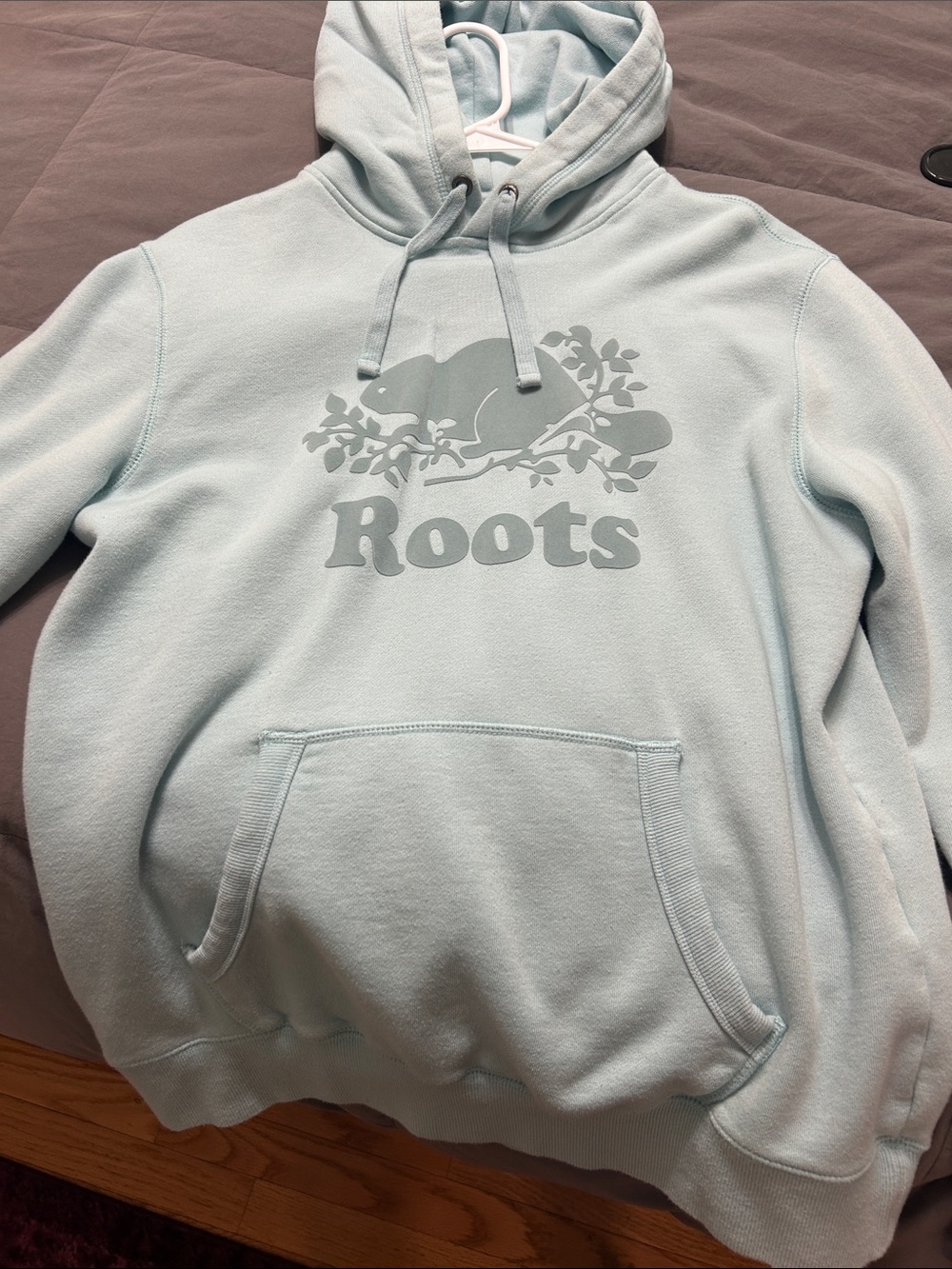 Roots Pale Blue Pullover Hoodie with Beaver Logo